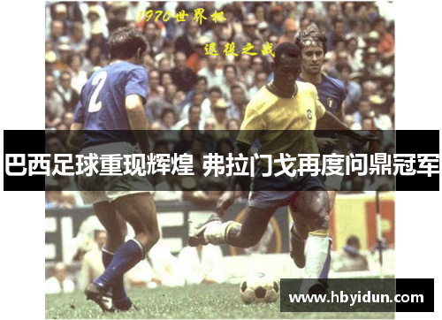 巴西足球重现辉煌 弗拉门戈再度问鼎冠军